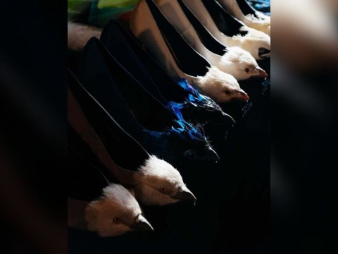 Deretan sepatu unik 2026.