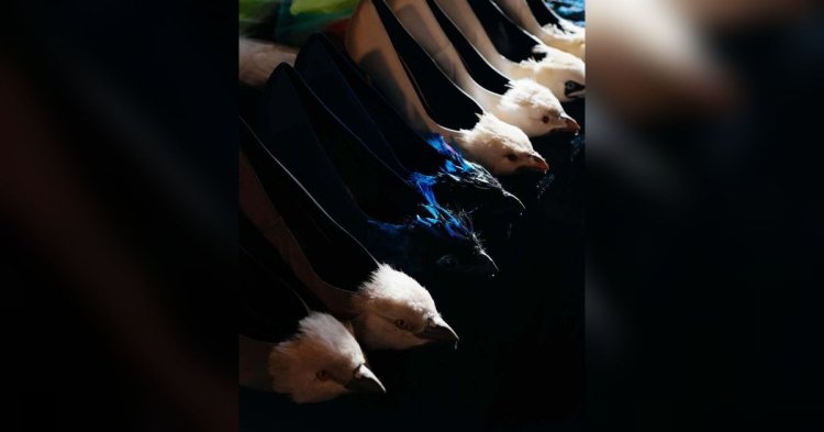 Deretan sepatu unik 2026.